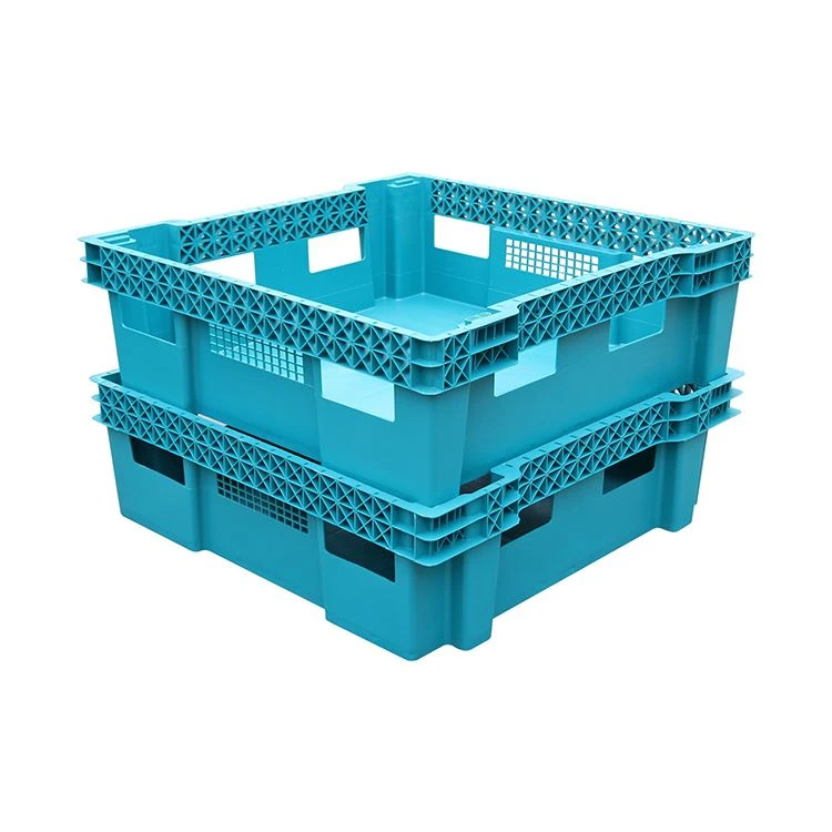Insect Boxes For Breeding Mealworms